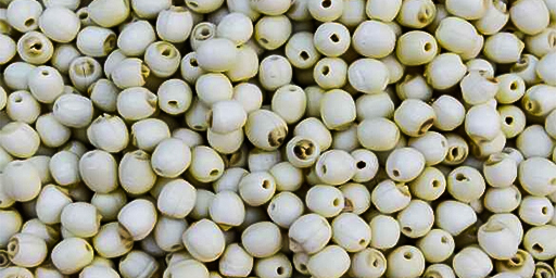 Drying requirements and temperature requirements of lotus seed dryer